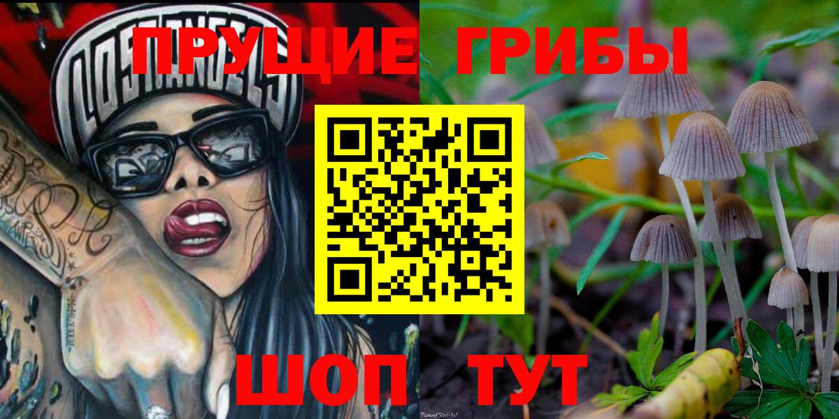 Галлюциногенные грибы Cubensis Тихорецк