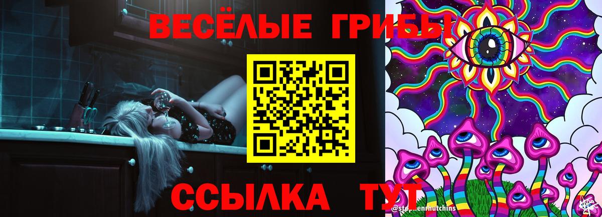 Тихорецк  Псилоцибиновые грибы MAGIC MUSHROOMS  Вход с VPN  где купить   Галлюциногенные грибы прущие грибы 